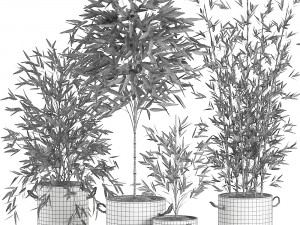 bamboo bush for the interior in a black flowerpot 597 Modèle 3D
