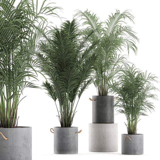 decorative palm in a flowerpot 598 3D मॉडल .c4d .max .obj .3ds .fbx .stl .blend 