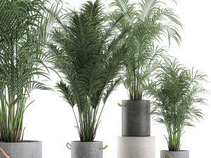 decorative palm in a flowerpot 598 3D Модель