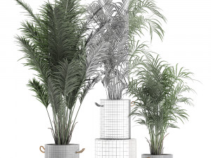 decorative palm in a flowerpot 598 3D मॉडल