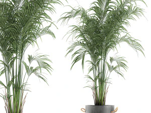 Dekopalme im Blumentopf 599 3D Modell