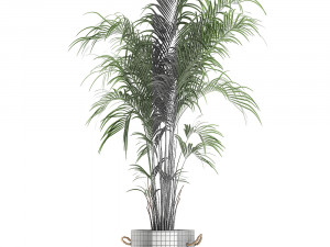 decorative palm in a flowerpot 599 3D Model