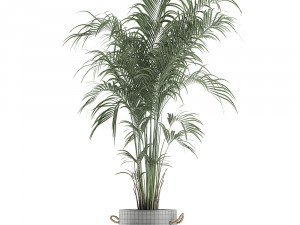 decorative palm in a flowerpot 599 3D Model