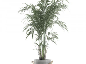 decorative palm in a flowerpot 599 3D Model