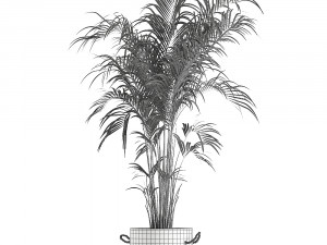 decorative palm in a flowerpot 599 3D Model