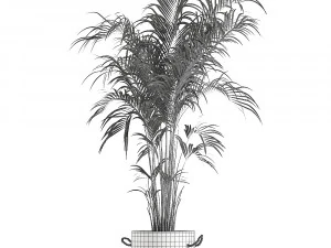 decorative palm in a flowerpot 599 3D Model