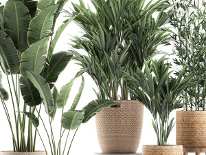 plants in baskets for the interior 600 3D 모델