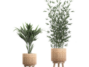 plants in baskets for the interior 600 3D 모델