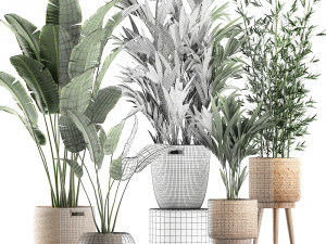plants in baskets for the interior 600 3D 모델