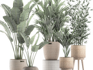 plants in baskets for the interior 600 3D 모델