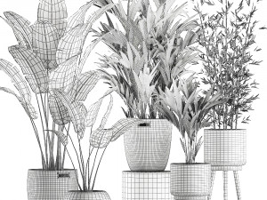 plants in baskets for the interior 600 3D 모델