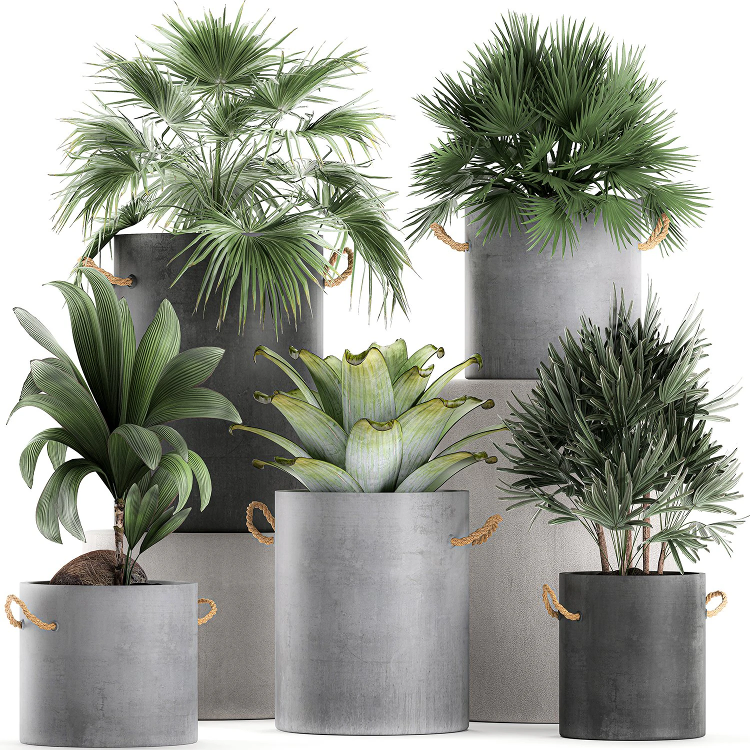plants in pots of concrete for the interior 601 3D Model .c4d .max .obj .3ds .fbx .stl .blend 