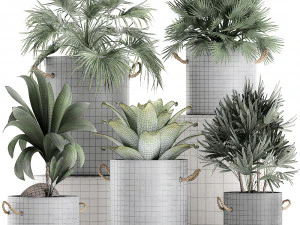 plants in pots of concrete for the interior 601 3D Model