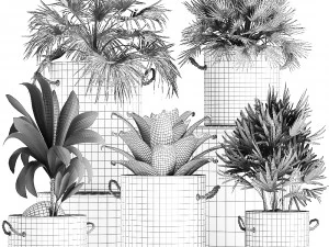 plants in pots of concrete for the interior 601 3D Model
