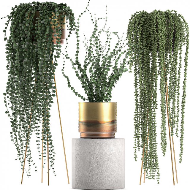 plants in gold pots for the interior 602 3D 모델 .c4d .max .obj .3ds .fbx .stl .blend 