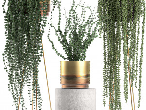 plants in gold pots for the interior 602 3D Model