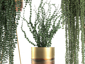 plants in gold pots for the interior 602 3D 모델