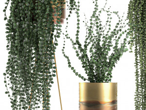 plants in gold pots for the interior 602 3D 모델