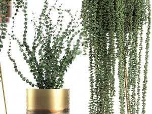 plants in gold pots for the interior 602 3D 모델