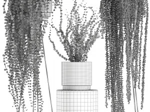 plants in gold pots for the interior 602 3D 모델