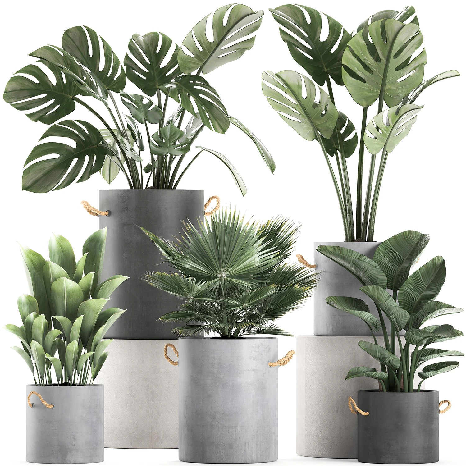 plants in pots of concrete for the interior 602 3D Model .c4d .max .obj .3ds .fbx .stl .blend 
