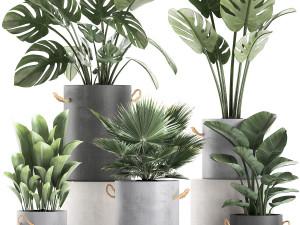 plants in pots of concrete for the interior 602 3D-Modell