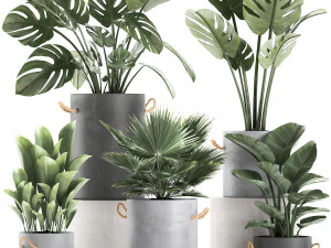 tanaman dalam pot beton untuk interior 602 Model 3D