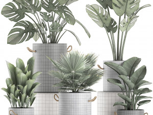 plants in pots of concrete for the interior 602 Modello 3D