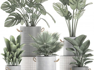 plants in pots of concrete for the interior 602 3D Model