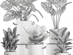 plants in pots of concrete for the interior 602 Modello 3D