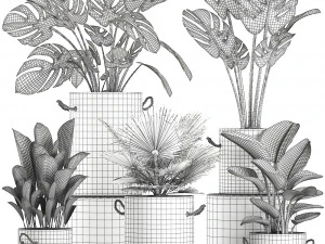 plants in pots of concrete for the interior 602 3D Model
