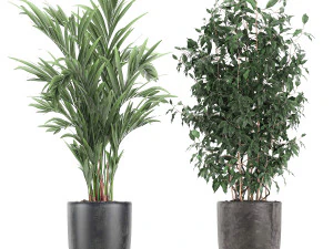 decorative plants for the interior in flowerpots 610 3D Model