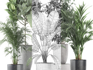 decorative plants for the interior in flowerpots 610 Modello 3D