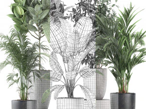 decorative plants for the interior in flowerpots 610 3D Model