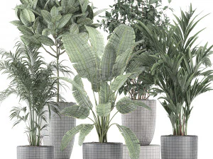 decorative plants for the interior in flowerpots 610 3D Model