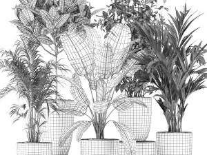 decorative plants for the interior in flowerpots 610 3D Model