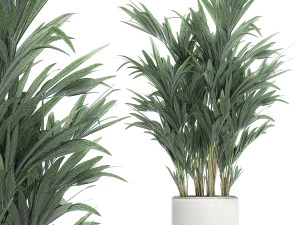 palmeira decorativa em vaso branco 612 Modelo 3D