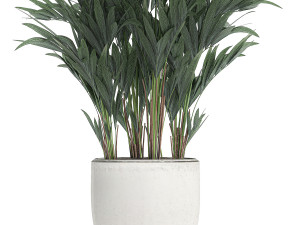 decorative palm in a white flowerpot 612 3D मॉडल