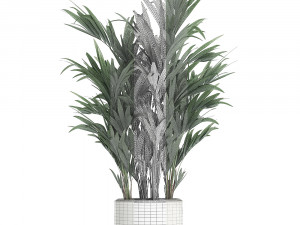 decorative palm in a white flowerpot 612 3D मॉडल