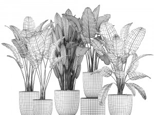 decorative plants for the interior in flowerpots 614 3D Model