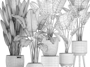 decorative banana plants for the interior in baskets 615 3D Model