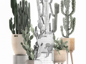 decorative cactus in baskets for the interior 617 Modèle 3D