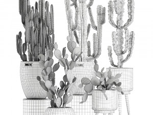 decorative cactus in baskets for the interior 617 Modèle 3D