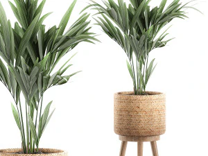 декоративная пальма в корзине 622 3D Модель