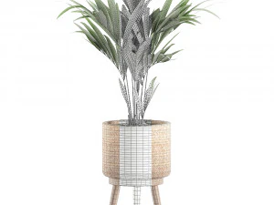 decorative palm in a in a basket 622 3D Model