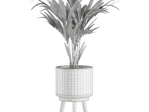 decorative palm in a in a basket 622 3D Model