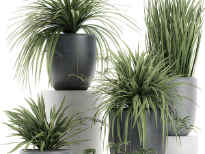 decorative cycas palm in a black flowerpot 625 Modello 3D
