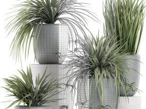 decorative cycas palm in a black flowerpot 625 3D Model