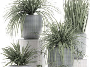 decorative cycas palm in a black flowerpot 625 3D Model