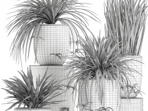 decorative cycas palm in a black flowerpot 625 3D Model